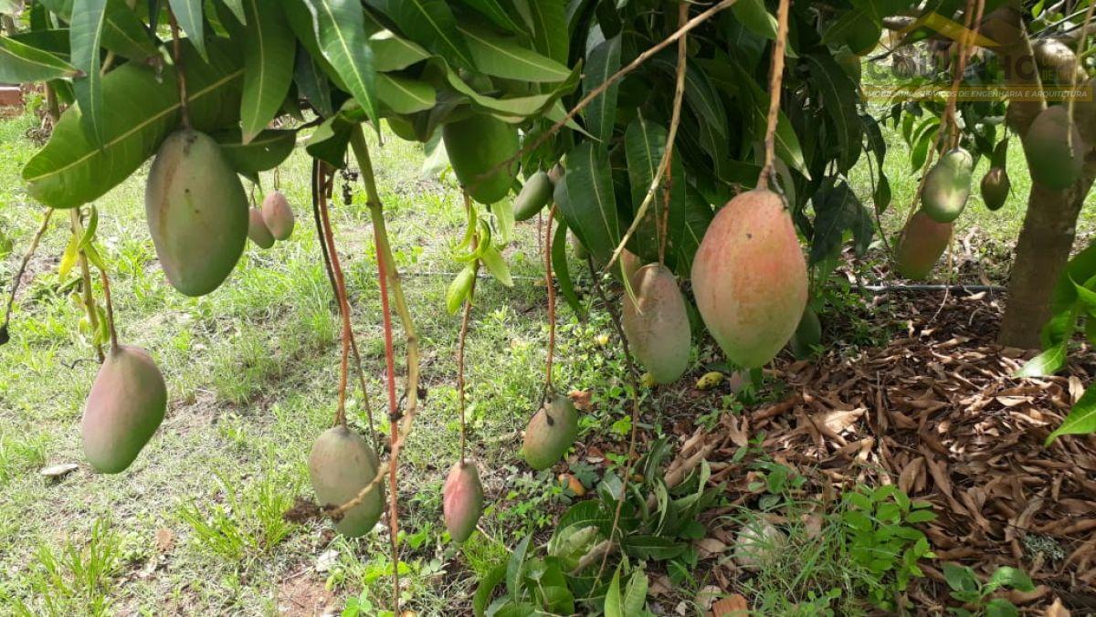 WhatsApp Image 2019-11-20 at 15.04.57.jpeg